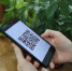 Чистопольцы рассказали, как они относятся  к введению QR-кодов - Чистополь-информ