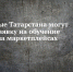 Самозанятым Татарстана помогут запустить бизнес на маркетплейсах - Чистопольский район
