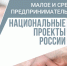 Предприниматели Татарстана получают 100% услуг по нацпроекту МСП в цифровом виде - Чистопольский район