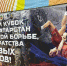 Две золотые медали завоевали чистопольские борцы на Чемпионате РТ в Казани - Чистополь-информ