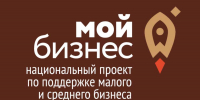 В Татарстане при поддержке Центра «Мой бизнес» прошла образовательная программа для социальных предпринимателей с элементами геймификации - Чистопольский район