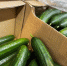 Огурцы стали лидером роста цен среди продуктов питания в России за неделю - Чистополь-информ