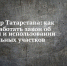 Росреестр Татарстана назвал признаки неиспользования земельных участков и рассказал, как будет работать закон об их освоении - Чистопольский район