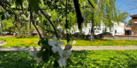 До 18 градусов тепла ожидается в Чистополе - Чистополь-информ