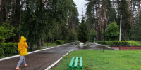 В Татарстане 27 августа ожидаются дожди, грозы - Чистополь-информ