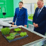 День знаний в Чистопольско-Высельской школе: открытие агротехнологических классов - Чистопольский район