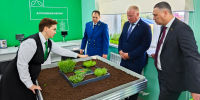 День знаний в Чистопольско-Высельской школе: открытие агротехнологических классов - Чистопольский район