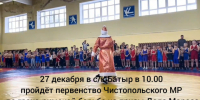 В Чистополе пройдет Первенство по греко-римской борьбе - Чистополь-информ