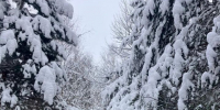 Резкое похолодание в Татарстане: к выходным ударят морозы до 20° ниже нуля - Чистополь-информ